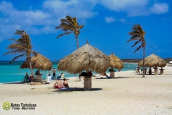 Aruba 2010