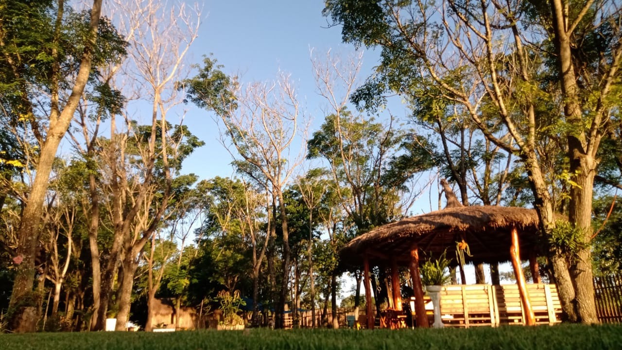 Estación Viajero Maya