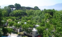 Camping Zeus  Pompei