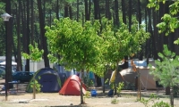 Camping Les Oyats