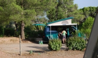 Camping La Pinède