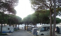 Camping Los Jarales