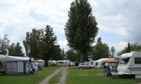 Camping Willam