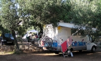 Camp Pod Maslinom