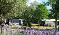 Camping Sites et Paysages Le Petit Bois