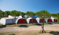 The Camping Gineprino