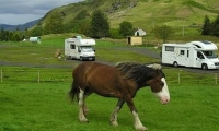 Lagnaha Farm and Campsite