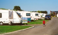 Newtown Cove Caravan & Camping Park