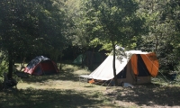 Camping Mimoza