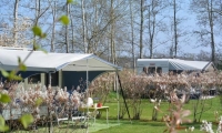 Camping Jelly` s Hoeve