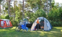 Kattnäs Camping