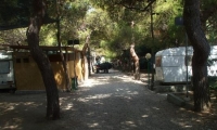 Camping Calabria Verde