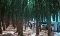 Camping Pineta La Foce
