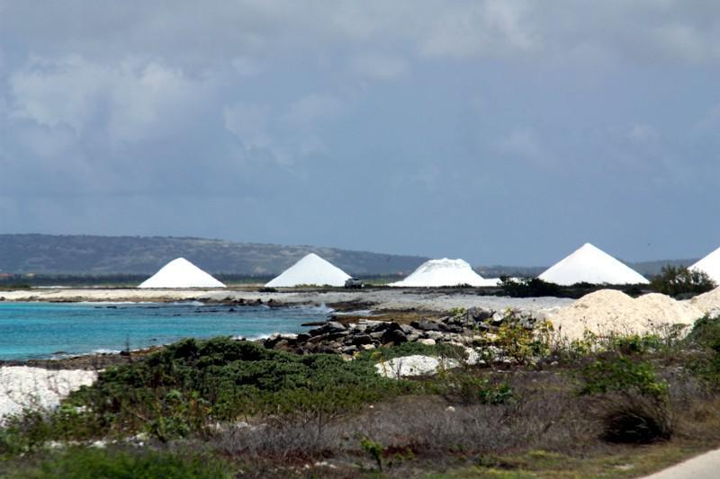 Bonaire salt pans