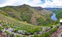 Ribeira Sacra, Cañon del rio Sil