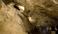 Cueva del Oso