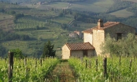 Siena - Toscana
