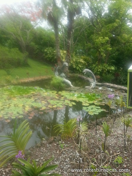 Nevis Botanical Gardens
