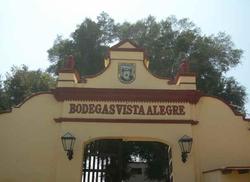 Bodega Vista Alegre