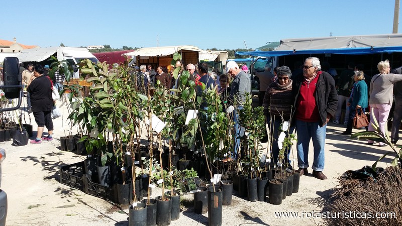 Maandelijkse markt van Algoz (Algarve)