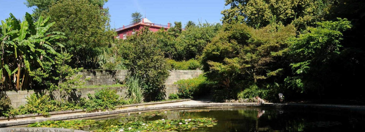 Botanischer Garten von Porto