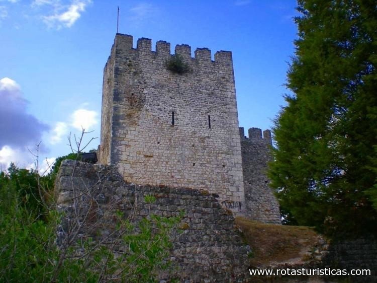 Schloss von Alcanede (Santarém)