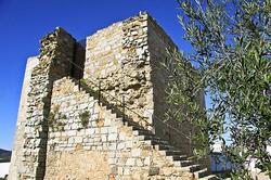 Ruínas do Castelo da Vidigueira